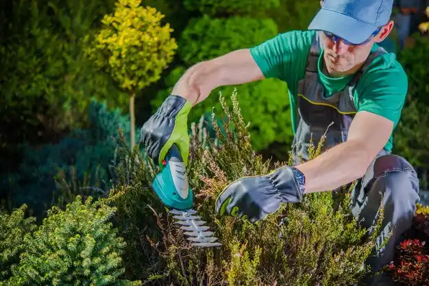 landscaping services Gulf Park Estates